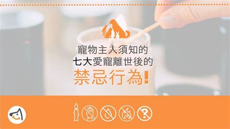 狗狗頭五還是頭七|寵物主人須知的愛寵離世後七大禁忌行為 